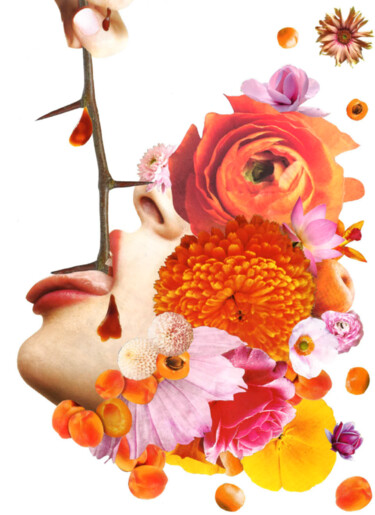 Collages titulada "Sucs - Sucer l'épin…" por Marion Revoyre, Obra de arte original, Collages