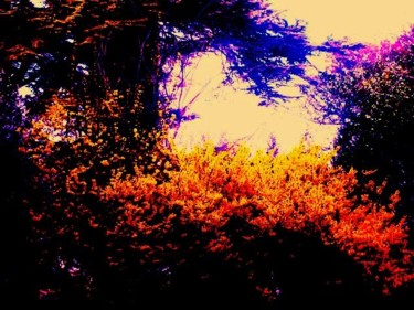 Photography titled "Autumn" by Maria Riccio, Original Artwork