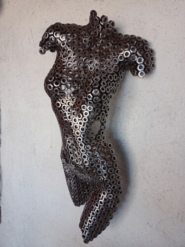 Escultura titulada "LALI" por Marisa Romero, Obra de arte original, Metales