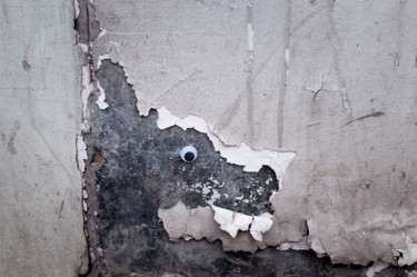 Dragon Décrépi. Photographie intitulée "Dragon Décrépi." par Vincent Marit, Œuvre d'art originale