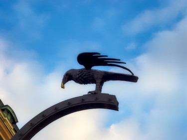 Photography titled "Iron Bird" by Marian Bogatu, Original Artwork, Digital Photography