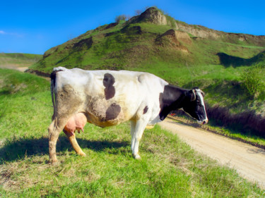 Photography titled "Bored Cow" by Marian Bogatu, Original Artwork, Digital Photography