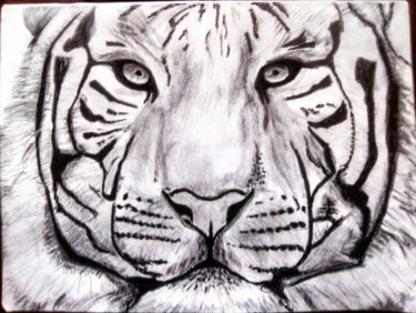 Zeichnungen mit dem Titel "Le tigre" von Momar, Original-Kunstwerk, Graphit