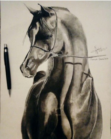Dibujo titulada "Cheval Arabian" por Momar, Obra de arte original, Carbón