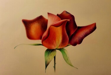Pittura intitolato "Red rose" da Mariya Gromova, Opera d'arte originale, Matite colorate