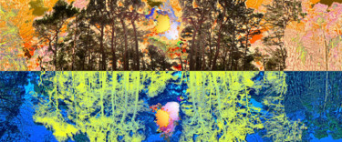 Digitale Kunst mit dem Titel "zauberwald-3.jpg" von Michael Schwahn, Original-Kunstwerk
