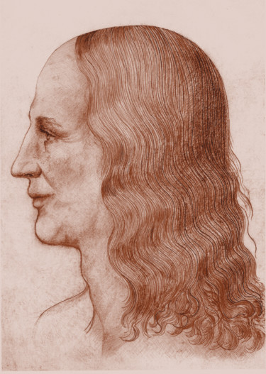 Dessin intitulée "1-leonardo-face-rec…" par Michael Schwahn, Œuvre d'art originale, Photographie numérique