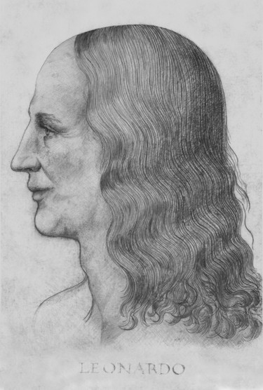 Drawing titled "3-leonardo-face-rec…" by Michael Schwahn, Original Artwork, Digital Photography
