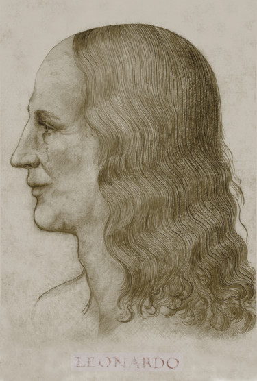 Dessin intitulée "5-leonardo-face-rec…" par Michael Schwahn, Œuvre d'art originale, Photographie numérique