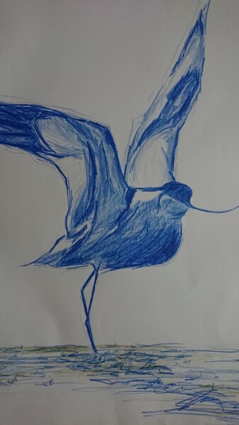 Tekening getiteld "L'Avocette bleue" door Marlène Bonnaffé, Origineel Kunstwerk, Potlood