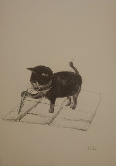 Drawing titled "Petit Chat" by Marlène Bonnaffé, Original Artwork, Ink