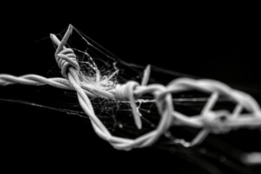 Photographie intitulée "Nœud" par Marlène Chauveau, Œuvre d'art originale, Photographie numérique Monté sur Aluminium
