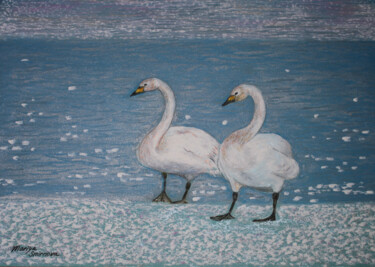 Pintura titulada "Birds. Swans. Early…" por Mariya Smirnova, Obra de arte original, Pastel