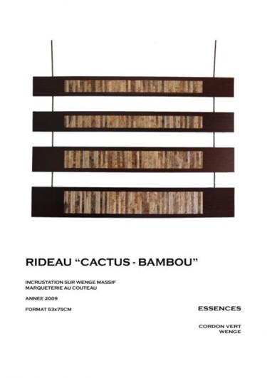 Sculpture intitulée "Rideau.. Cactus bam…" par Vince, Œuvre d'art originale