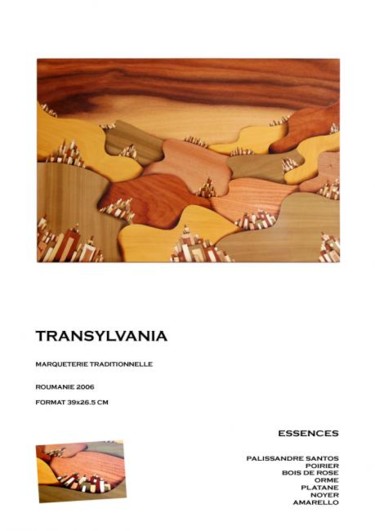 Sculpture intitulée "Transylvania" par Vince, Œuvre d'art originale