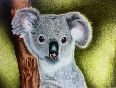Desenho intitulada "Koala" por Marta Castellani, Obras de arte originais, Conté
