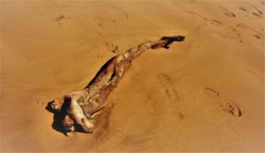 Fotografie getiteld "femme-en-bois.jpg" door Martemi, Origineel Kunstwerk