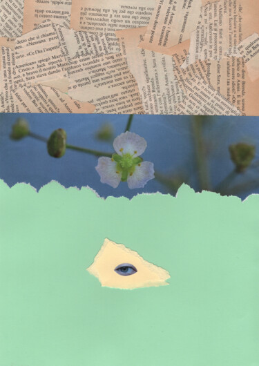 Collages intitulée "n° 10 - Senso" par Martelli, Œuvre d'art originale, Collages