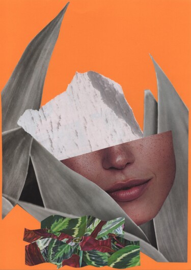 Collages titled "n° 5 - Quinta stagi…" by Martelli, Original Artwork, Collages