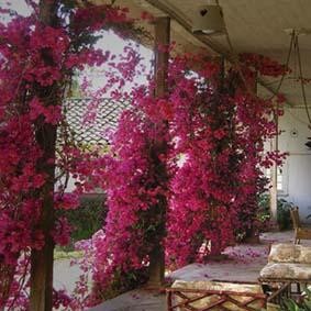 Fotografia intitolato "Las casas de Tierra…" da Martha Zylbersztejn, Opera d'arte originale