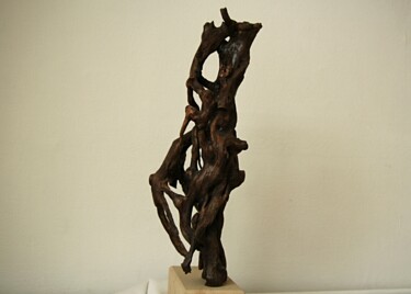 Skulptur mit dem Titel "rapid" von Martin Blindell, Original-Kunstwerk, Holz