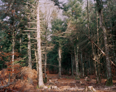 Fotografia intitolato "UND GRETEL" da Martin Ecker, Opera d'arte originale, fotografia a pellicola