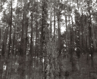 Fotografia intitulada "ABSTRACTION DES COL…" por Martin Ecker, Obras de arte originais, Fotografia de filme