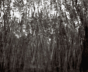 Фотография под названием "ABSTRACION DES COLL…" - Martin Ecker, Подлинное произведение искусства, Пленочная фотография