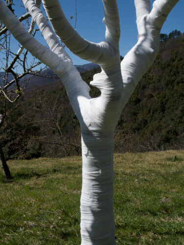 Sculpture intitulée "IN DER STILLE DER S…" par Martin Ecker, Œuvre d'art originale, Bois