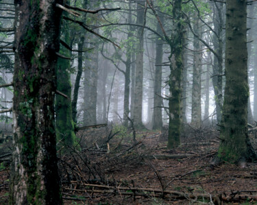 Fotografia zatytułowany „TRANSZENDALE ÄSTHET…” autorstwa Martin Ecker, Oryginalna praca, Fotografia filmowa