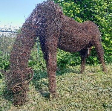 Sculpture intitulée "Iron Horse" par Martin Pollak, Œuvre d'art originale, Fil de fer