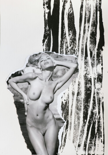 Collagen mit dem Titel "Monochrome Safari P…" von Martin Wieland, Original-Kunstwerk, Lithographie