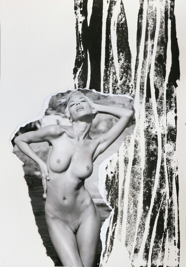 Collages intitolato "Monochrome Safari P…" da Martin Wieland, Opera d'arte originale, Litografia