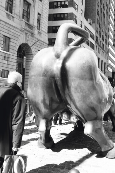 Photography titled "Staring at the Bull…" by Martin Wieland, Original Artwork, Digital Photography