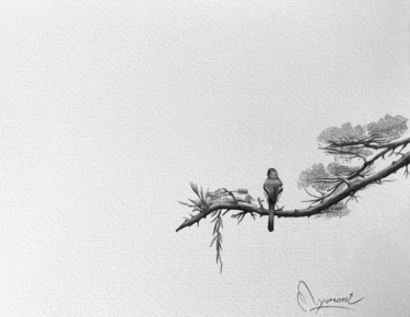 Dibujo titulada "Pájaro sobre rama" por Martín Yutronic, Obra de arte original, Grafito