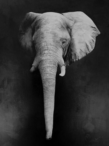 Dessin intitulée "Elephant.jpeg" par Martín Yutronic, Œuvre d'art originale, Graphite