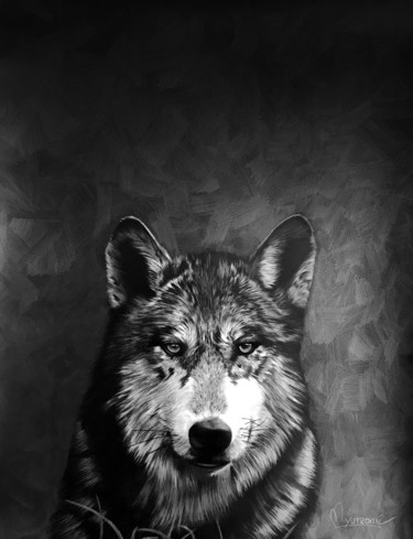 Dessin intitulée "Lobo.jpeg" par Martín Yutronic, Œuvre d'art originale, Graphite