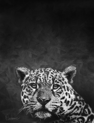 Dessin intitulée "Jaguar.jpeg" par Martín Yutronic, Œuvre d'art originale, Graphite