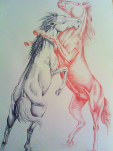 Disegno intitolato "Cavalli - esercizio" da Martina Purificato, Opera d'arte originale, Altro