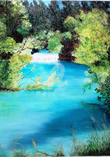 Pintura intitulada "Lac à Bessans" por Martine Bonnerave, Obras de arte originais, Óleo