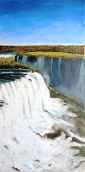 Painting titled "Chutes d'Iguazu" by Martine Bonnerave, Original Artwork, Oil