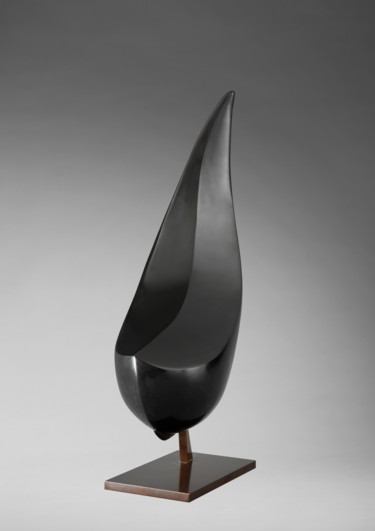 Sculpture titled "l'envol" by Martine Camors, Original Artwork, Bronze