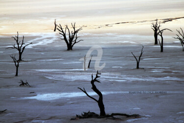 Fotografia intitolato "Namibie3" da Martine France Moreau, Opera d'arte originale, Fotografia digitale