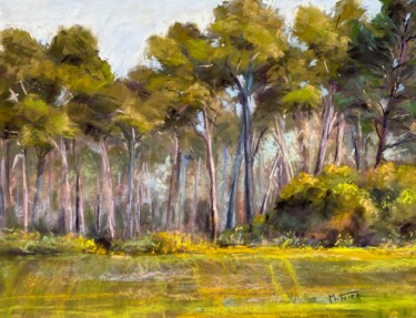 Painting titled "Les Pins de Provence" by Martine Tulet, Original Artwork, Pastel
