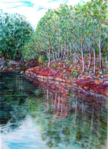 Painting titled "Parramatta Lake" by Martin James, Original Artwork, Oil