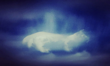 Fotografía titulada "Cloud Dog" por Martin Vallis, Obra de arte original, Fotografía digital