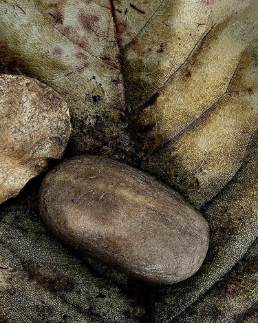 "Carry That Weight" başlıklı Fotoğraf Martin Vallis tarafından, Orijinal sanat, Dijital Fotoğrafçılık