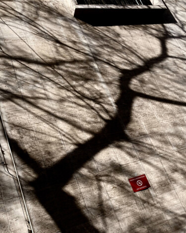 Photographie intitulée "Complicated Shadows" par Martin Vallis, Œuvre d'art originale, Photographie numérique