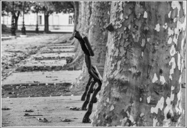 Photographie intitulée "Bancs publics, jard…" par Marvie Marilhyne, Œuvre d'art originale, Photographie numérique