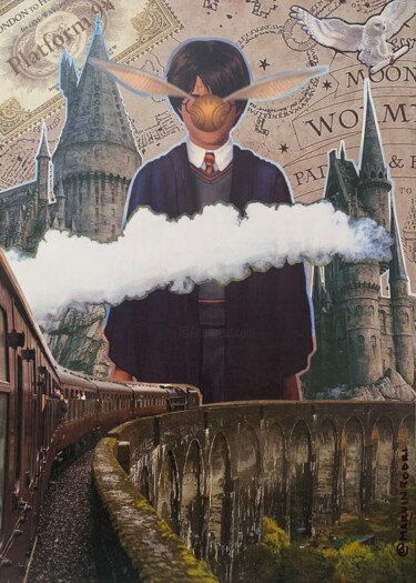 Collages titled "Harry Potter" by Marvin Rodrigues, Original Artwork, Collages